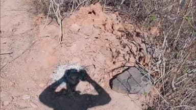 सिमरिया: झांझर वीट में वन माफिया पर नकेल! पन्ना में वन सीमा से छेड़छाड़ करने वाले दो गिरफ्तार