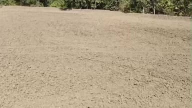 परसवाड़ा: तिनगड़ी ग्राम में शासकीय भूमि पर अवैध कब्जा, ग्रामीणों ने पटवारी-तहसीलदार पर लापरवाही का आरोप लगाया