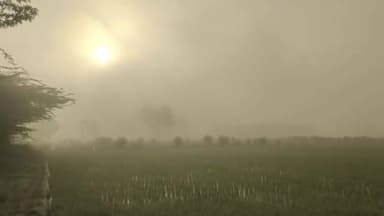 செங்கம்: மேல்பள்ளிப்பட்டு உள்ளிட்ட பல்வேறு பகுதியில் மூடுபணியால் பொதுமக்கள் அவதி