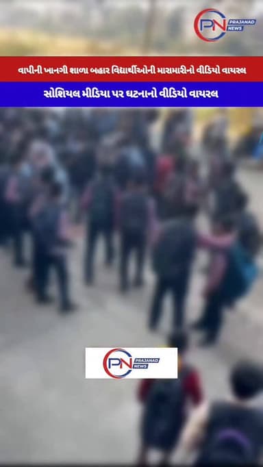 વાપીની ખાનગી શાળા બહાર વિદ્યાર્થીઓની મારામારીનો વીડિયો વાયરલ:સોશિયલ મીડિયા પર ઘટનાનો વીડિયો વાયરલ