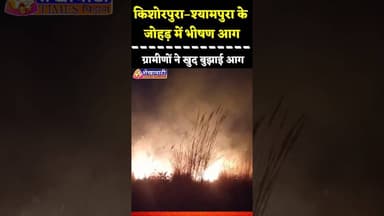 #किशोरपुरा–श्यामपुरा के जोहड़ में भीषण आग, ग्रामीणों ने खुद बुझाई आग #jhunjhunu #aag #viral