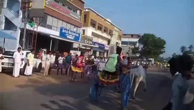 மணமேல்குடி: ECR சாலையில் மறைந்த நெப்போலியன் நினைவு மாட்டுவண்டி பந்தய போட்டியில் 100 ஜோடி மாடுகள் பங்கேற்பு