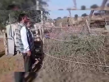 रामसर: रविवार को SDM मीणा ने गौशालाओं का किया औचक निरीक्षण, गौवंश कल्याण पर दिया जोर