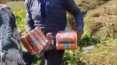 कटिहार: उदामा रेखा में शराब लूट का वीडियो सोशल मीडिया पर वायरल, एएसपी ने कार्रवाई की बात कही