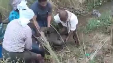 అన్నవరంలో విషాదం... కాలవలో పడి రైతు మృతి