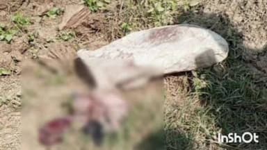 नरैनी: कछिया पुरवा और बेला पुरवा अंश मोतियारी गांव के बीच नहर किनारे बोरी में बंद मिला करीब 7 माह का भ्रूण