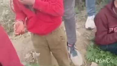 जलालपुर: जलालपुर बसखारी मार्ग पर नर्सरी बाजार में अनियंत्रित ट्रैक्टर ने स्कूटी सवार को मारी टक्कर, भाई-बहन की मौत, एक घायल