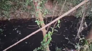 घोड़ासहन: घोड़ासहन के जमुनिया गांव के पास अरुणा नदी में एक अज्ञात व्यक्ति का शव बरामद, पहचान अब तक नहीं हो पाई