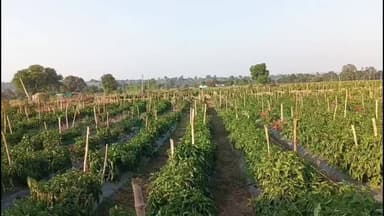 कुंडम: बघराजी में "कृषक संगोष्ठी" के साथ "गक्कड़ भर्ता" का आनंद, राष्ट्रीय उपाध्यक्ष की अध्यक्षता में संपन्न हुआ कार्यक्रम !!