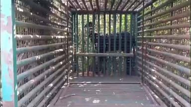 કપડવંજ: તાલુકાના ફતિયાવાદ સીમ વિસ્તારમાં દીપડાના આંટાફેરાની આશંકા.