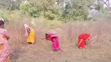 चिनिया: मनरेगा से लौटी मुस्कान: बेता गांव में डोभा निर्माण से दो दर्जन मजदूरों को मिला रोजगार, पलायन की चिंता हुई दूर