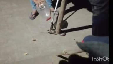 ચોરાસી: સુરતના ઈચ્છાપોર વિસ્તારમાં આવેલા ભાટપોર ગામમાં ઘરઆંગણે રમી રહેલા બે વર્ષના બાળકને કોબ્રા સાપે ડંખ મારતા બાળકનું મોત.