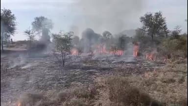 चौहटन: चौहटन के आगौर में अचानक खेत में लगी आग, नहीं हुई कोई बड़ी जनहानि