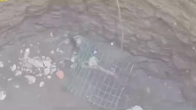 पंडारक: पंडारक के चिंतामनचक गांव में वन विभाग की टीम ने एक सांप का किया रेस्क्यू