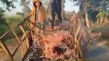 बैतूल: कड़कती ठंड में खेत जाने के लिए किसान का जुगाड़, बैतूल बाजार में बैलगाड़ी पर जलाया अलाव