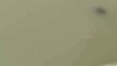 कैंपियरगंज: कैंपियरगंज थाना क्षेत्र के राप्ती नदी के करमैनीघाट पुल से बुजुर्ग ने नदी में लगाई छलांग, नाविक ने किया बचाव