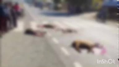 ધનસુરા: નવલપુર સ્ટેન્ડ નજીક ટ્રક ચાલકે 13 જેટલા ઘેટાંને કચડી નાખતા 8 ઘેટાં ઘટના સ્થળે મોતને ભેટ્યા