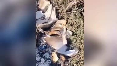 સાણંદ: ચાંગોદરમાં ઔદ્યોગિક કચરાનો બેફામ નિકાલ, મોરૈયા-ચાચરાવાડી રોડ પર સળગાવેલો કચરો જોવા મળ્યો