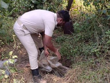 ଗୁରୁଣ୍ଡିଆ: ବଡ଼ଗାଁ ଏକ୍ସସାଇଜ ଷ୍ଟେସନ ଓଆଇସି ଓ ତାଙ୍କ ଟିମଙ୍କ କରେଇବଗା ଜଙ୍ଗଲରେ ଅବକାରୀ ଚଢାଉ, ଘଟଣା ସ୍ଥଳରେ 4 ଶହ ଲିଟର ମଦ ଓ 34 ଶହ କେଜି ପୋଚ ନଷ୍ଟ