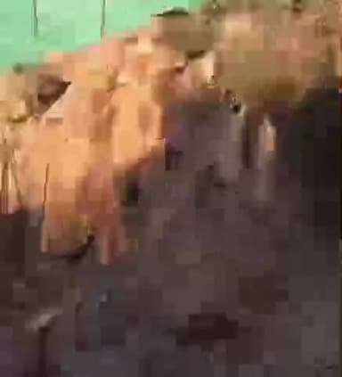 टीकमगढ़: पुरानी टेहरी के पास पुल क्षतिग्रस्त, बरसात में गिरी थी दीवार, मरम्मत कार्य अभी तक अधूरा