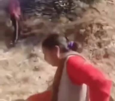 कुमारसैन: कुमारसैन में जमीनी विवाद को लेकर हुई कहा-सुनी, महिला ने एक व्यक्ति की पिटाई की