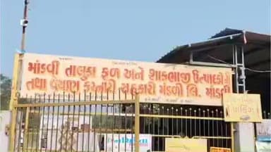 માંડવી: માંડવી ચારરસ્તા ખાતે 40 લાખના ખર્ચે સોલાર પાવર થી ચાલતું કોલ્ડ સ્ટોરેજ તથા ટ્રાન્સપોર્ટેશન તથા વિવિધ સુવિધા ઉપલબ્ધ કરાય