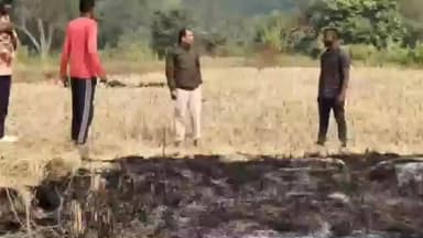 डुमरिया: डुमरिया के निश्चिंतपुर गांव में दर्दनाक हादसा, पुआल के ढेर में जिंदा जली चार साल की बच्ची