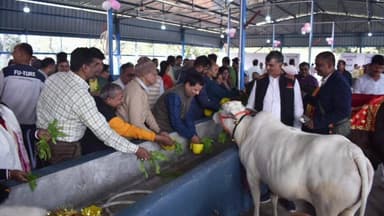 बरबीघा: नवनिर्मित रोटरी गौ सेवा केंद्र का उद्घाटन, सीएसआर फंड से शेड का निर्माण