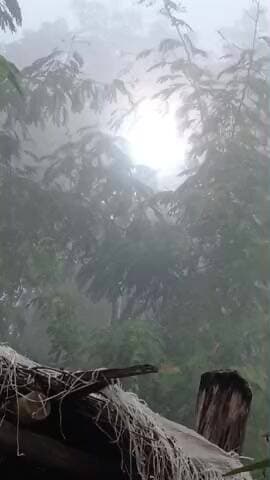 #मैहर# बीडी# कॉलोनी #के जस्ट# पीछे#