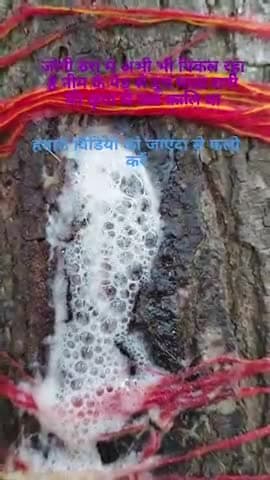 may public app may public app