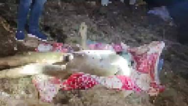 शिरूर कासार: तिंतरवणी येथील तलावात सडलेल्या अवस्थेत एका अनोळखी व्यक्तीचा मृतदेह आढळला, ओळख पटवण्याचे चकलांबा पोलिसांचे आवाहन