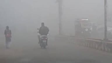 फतेहाबाद: फतेहाबाद में कड़ाके की सर्दी के बाद घने कोहरे में रेंग कर चले वाहन, दृश्यता हुई शून्य, जनजीवन प्रभावित