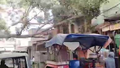 मलसीसर: मंडावा के सुभाष चौक में ट्रक की टक्कर से पेड़ की टहनियां दुकानों पर गिरीं, विद्युत सप्लाई भी हुई बाधित