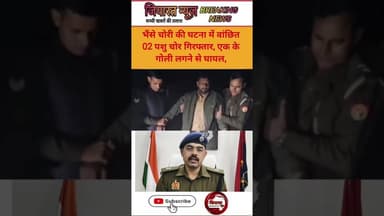 थाना जानी पुलिस द्वारा दौराने पुलिस मुठभेड दिनांक 02/03.12.2025 की रात में ग्राम पांचली से भैंसे