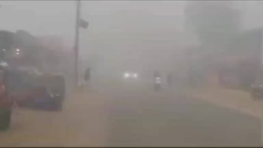 कनीना: कनीना-रेवाड़ी रोड पर घने कोहरे के कारण रेंगते दिखे वाहन