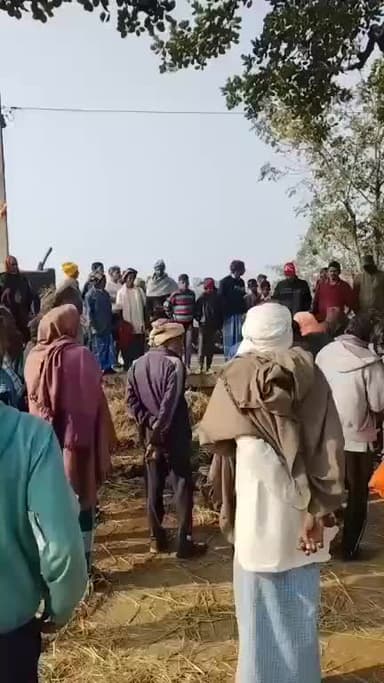 चलकुशा: चालकुशा के 12 डी में भैंस को मारकर उसके अंग निकालने का सनसनीखेज मामला सामने आया