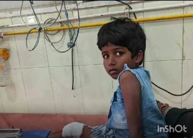 వరంగల్: చిన్నారి, వృద్ధురాలిపై వీధి కుక్క దాడి 40వ డివిజన్లో ఉర్సు ప్రాంతంలో ఘటన