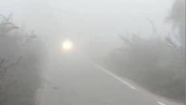 हैदरनगर: घने कोहरे की चादर में लिपटा हैदरनगर, जनजीवन ठप-सुबह 8 बजे तक सड़कों पर पसरा रहा सन्नाटा