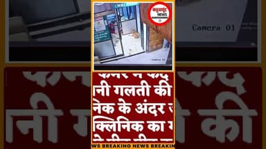 आई हैवानियत भरी तस्वीर बेजुबान जानवर पर ताबड़तोड़ डंडे से हमला सीसीटीवी कैमरे में कैद हुई तस्वीर