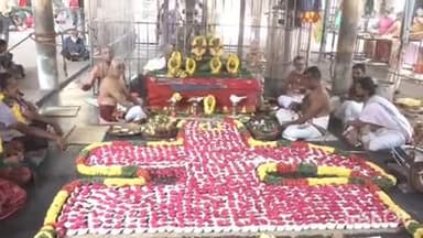 மதுரை தெற்கு: இம்மையிலும் நன்மை தருவார் கோவிலில் 1008 சங்காபிஷேகம் கோலாகலம் ஏராளமான பக்தர்கள் சுவாமி தரிசனம்