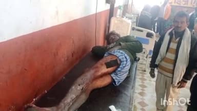 हरदोई: कोइलाहा गांव में खेत पर गए दंपति पर आवारा सांड ने किया हमला, मेडिकल कॉलेज में कराया गया भर्ती