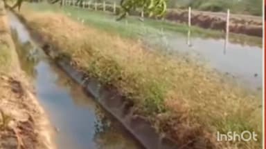 સાંતલપુર: અરજણસરમાં કેનાલનું પાણી ખેતરોમાં ફરી વળતા વાવેતર કરેલ પાકમાં નુકશાની