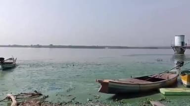 చివ్వెంల: మట్టంపల్లిలో కాలుషితమయంగా మారిన మట్టపల్లి కృష్ణ నది