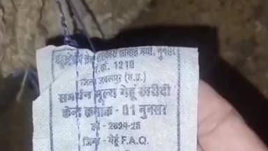 सुवासरा: कुरावन गांव में शासन द्वारा बांटे जा रहे गेहूं को जानवर भी खाने से कर दें इनकार, ऐसी है स्थिति