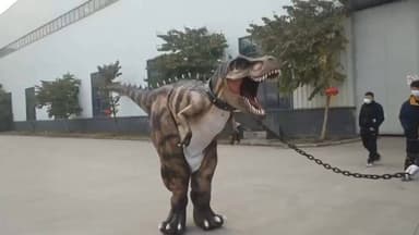 রামনগর ১: জগন্নাথ মন্দিরের পাশাপাশি পর্যটকদের আকর্ষনের কেন্দ্রবিন্দু হতে যাচ্ছে দীঘার চলমান ডাইনোসর পার্ক