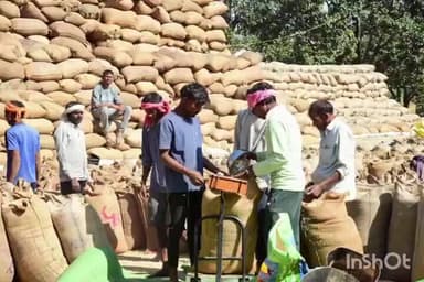 बड़ेराजपुर: खरीफ विपणन वर्ष 2025-26 के तहत विश्रामपुरी और सलना में अब तक 50,151 क्विंटल से अधिक धान की खरीदी हो चुकी है