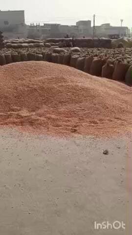 छीपाबड़ोद: छीपाबड़ौद अनाज मंडी में कुल 8302 कट्टी की आवक दर्ज हुई