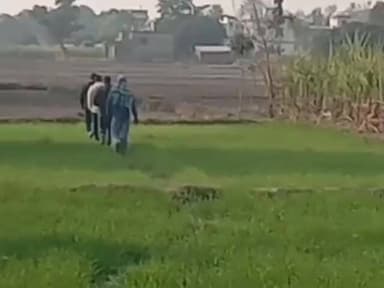 जोगापट्टी: बलुआ भवानीपुर में विशेष सर्वेक्षण व भूमि किश्तवार प्रक्रम की शुरुआत, कानूनगो ने रैयतों को दी जानकारी