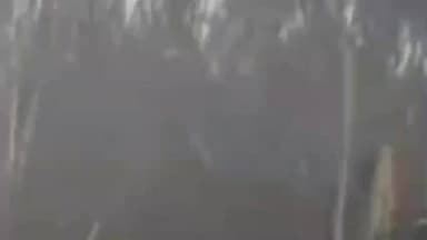 नरकटियागंज: कहुनियां रोआरी पंचायत के जुड़ीमियां टोला में सोमवार सुबह फूस की झोपड़ी में लगी आग