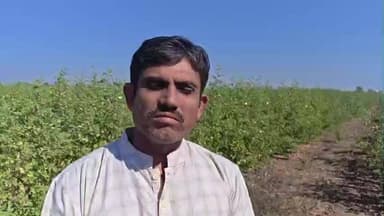 ચુડા: ચુડા તાલુકા ના ખેડુતો ની ખેતી વરસાદ અને પાક ધિરાણ પર આધારીત હોય ખેતી અને ખેડૂત બચાવવા પાક ધિરાણ માફ કરવા રજૂઆત કરાઇ